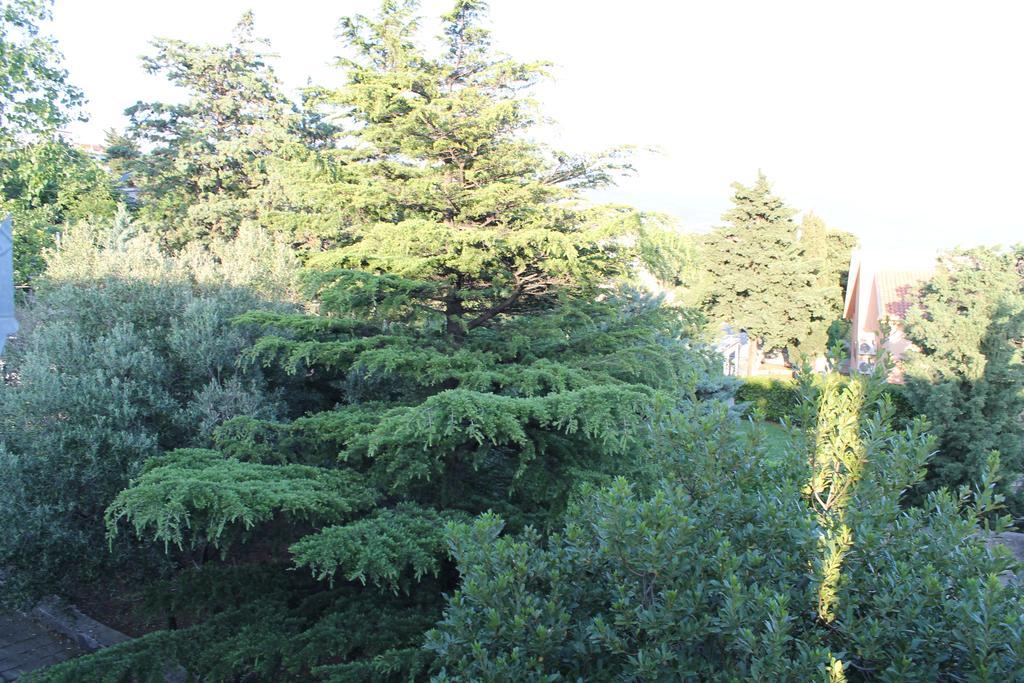 Apartments Strmecki Novi Vinodolski Dış mekan fotoğraf